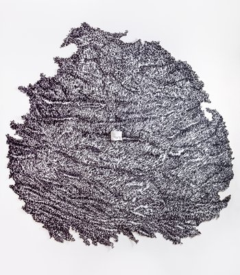 Giuseppe Penone, Palpebra (Eyelid), 1986