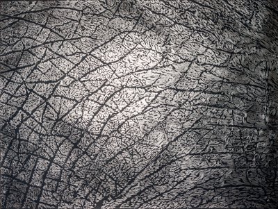 Giuseppe Penone, Pelle di grafite – riflesso di adamina (Skin of Graphite – Adamine Reflection), 2003