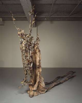 Giuseppe Penone, Sentiero (Path), 1986