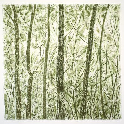 Giuseppe Penone, Verde del bosco (Forest Green), 1988