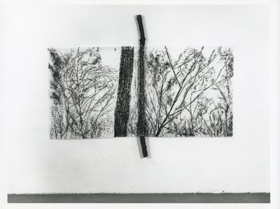 Giuseppe Penone, Il verde del bosco con ramo (Forest Green With Branch), 1987