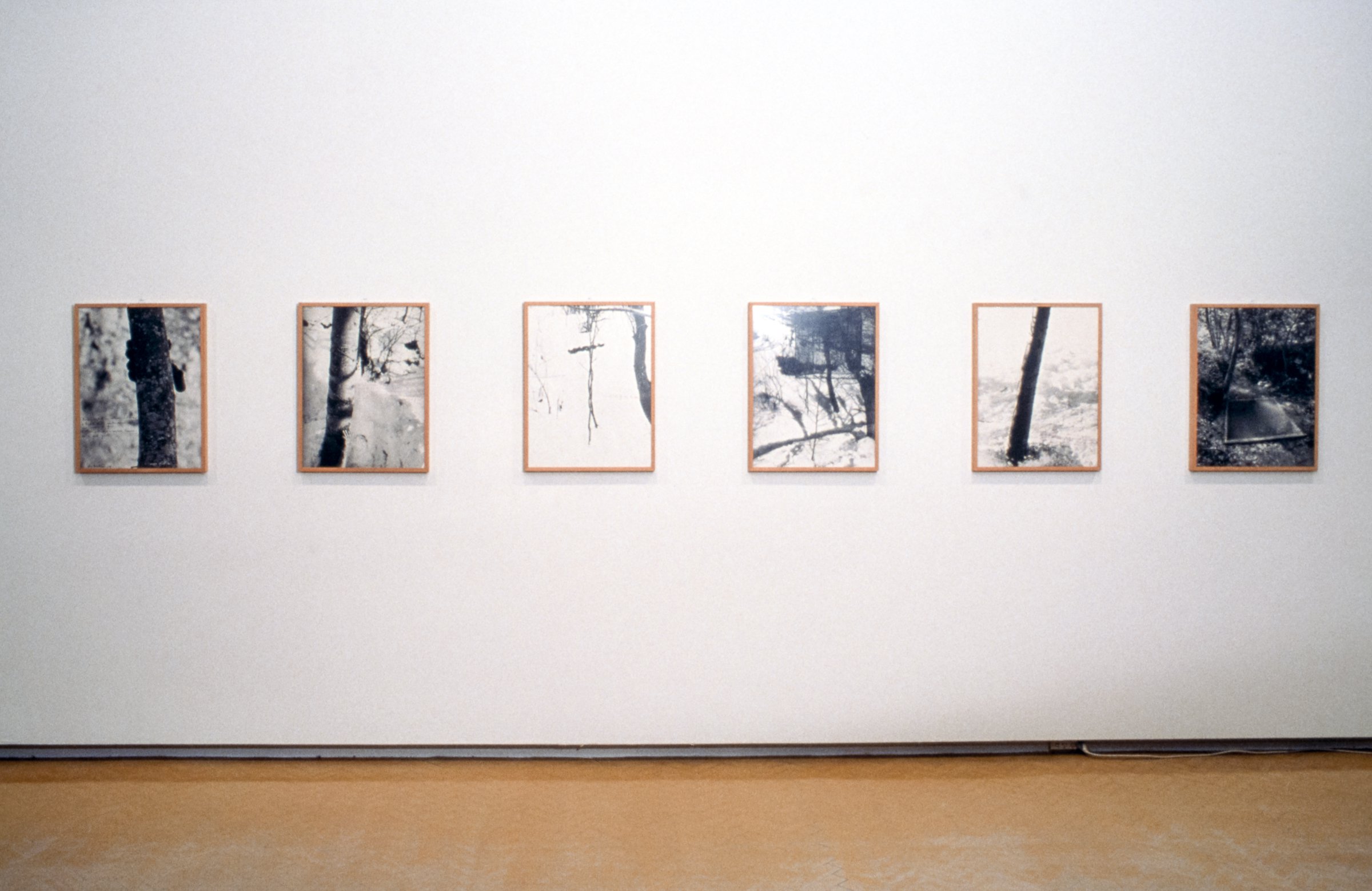 Alpi Marittime (Maritime Alps), 1968 (Cod. 2256) Works Giuseppe Penone