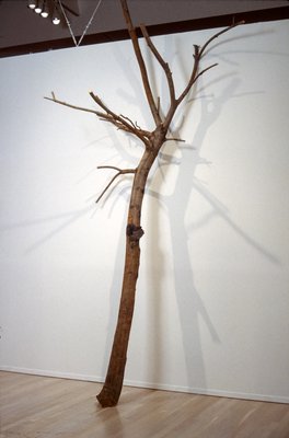 Giuseppe Penone, Continuerà a crescere tranne che in quel punto – Trattenere 7 anni di crescita (I have been a tree in the hand) (It Will Continue to Grow Except at That Point – To Retain 7 Years of Growth (I have been a tree in the hand)), 1984
