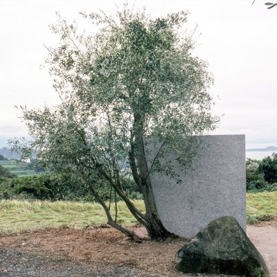 Giuseppe Penone, Pietra e albero (Stone and Tree), 1987