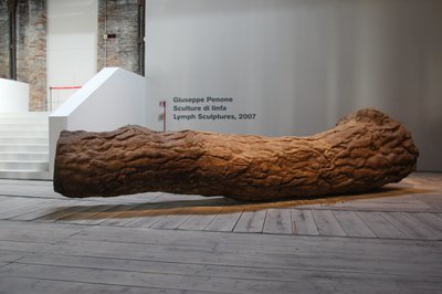 Giuseppe Penone, Albero di cuoio (Tree of Leather), 2007