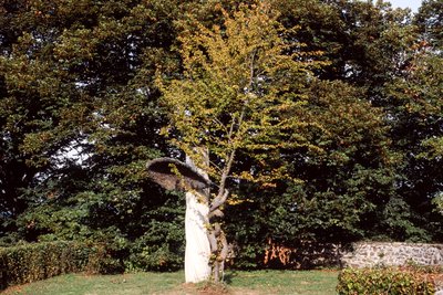 Giuseppe Penone, Gesto Vegetale – Soffio di foglie (Vegetal Gesture – Breath of Leaves), 1986