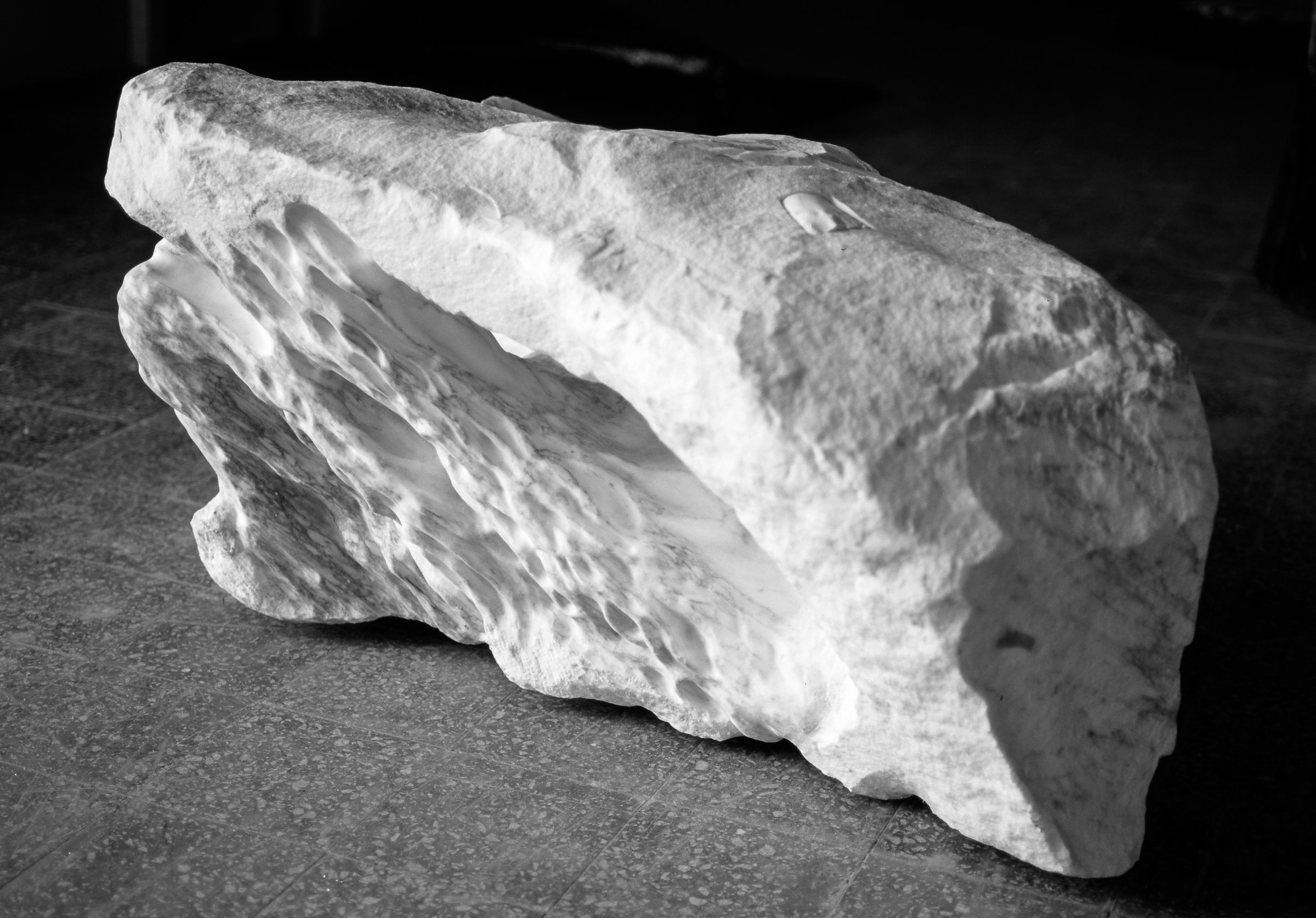 Anatomia (Anatomy), 1993 (Cod. 0494) | Works | Giuseppe Penone