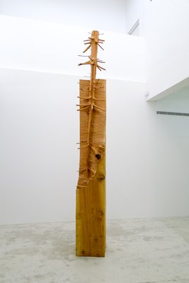Giuseppe Penone, Nel legno (In The Wood), 2008