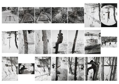Giuseppe Penone, Lavori sugli alberi (Works on Trees), 1968