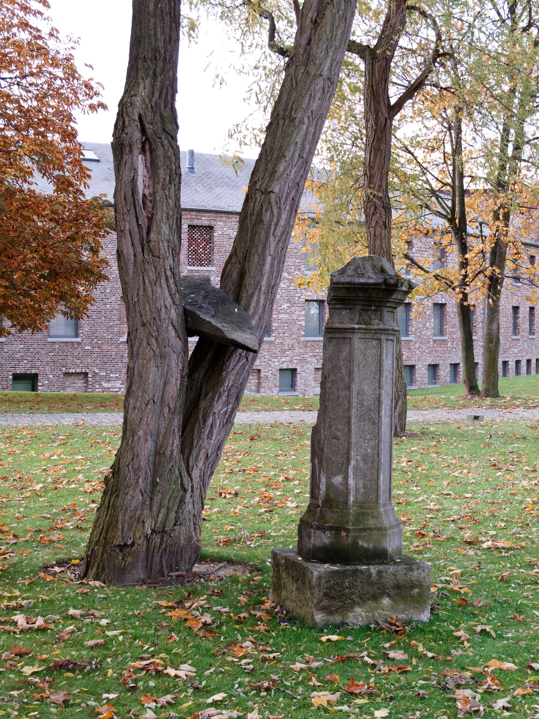Pierre's Tree Les pierres des arbres (The Stones Of The Trees), 2010 (Cod. 1244 ...