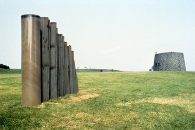 Giuseppe Penone, Sutura (Suture), 1989