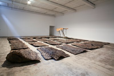 Giuseppe Penone, Lo spazio della scultura – pelle di cedro (The Space of Sculpture – Skin of Cedar), 2001