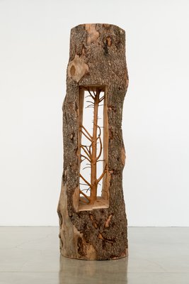Giuseppe Penone, Albero porta – cedro (Door Tree – Cedar), 2012