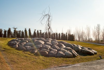 Giuseppe Penone, Cervello di pietre (Brain of Stones), 2003