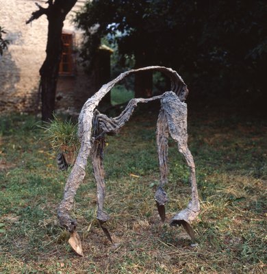 Giuseppe Penone, Procedere in verticale (Proceeding Vertically), 1985