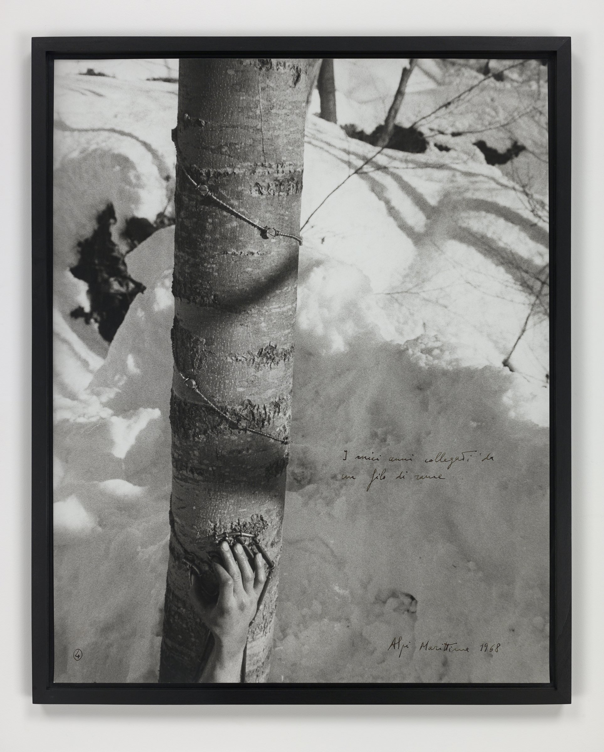 Alpi Marittime (Maritime Alps), 1968 (Cod. 2264) Works Giuseppe Penone