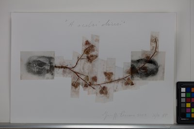 Giuseppe Penone, A occhi chiusi (With Eyes Closed), 2026