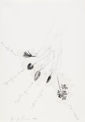 Giuseppe Penone, Dacci notizie d’amore (Give us News of Love), 1991