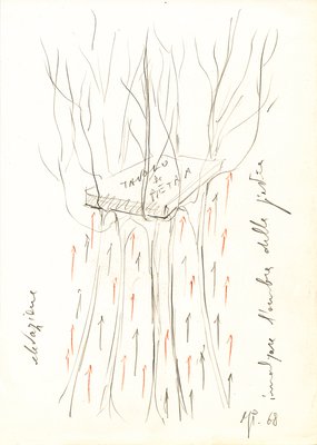 Giuseppe Penone, Progetto per il giardino di pietra (Project for the Stone Garden), 1968