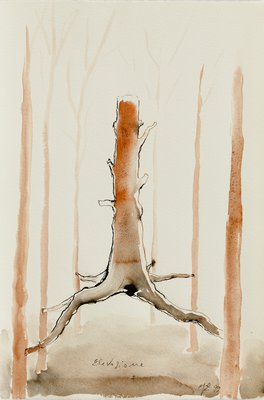 Giuseppe Penone, Elevazione (Elevation), 1999