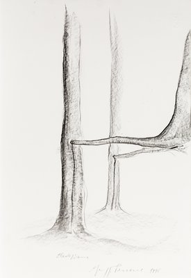 Giuseppe Penone, Elevazione (Elevation), 1998