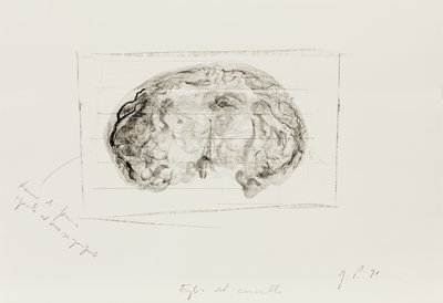 Giuseppe Penone, Foglie del cervello (Brain Leaves), 1991