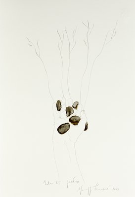 Giuseppe Penone, Idee di pietra (Ideas of Stone), 2003