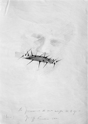 Giuseppe Penone, La pressione di una carezza su 18 spine (bocca) (The Pressure of a Caress on 18 Thorns (Mouth)), 2001