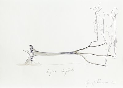 Giuseppe Penone, Logica vegetale (Vegetal Logic), 1997