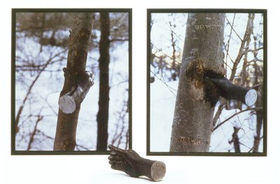 Giuseppe Penone, Alpi Marittime (Maritime Alps), 1973
