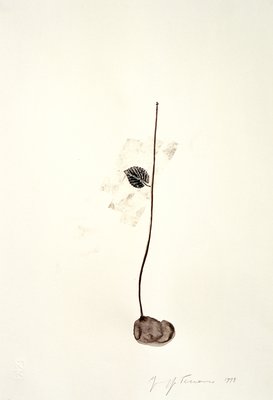 Giuseppe Penone, Pensiero (Thought), 1999