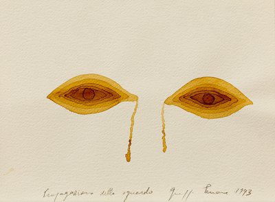 Giuseppe Penone, Propagazione dello sguardo (Propagation of the Gaze), 1993