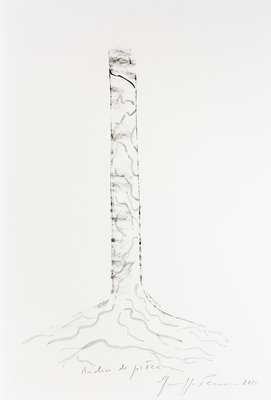 Giuseppe Penone, Radici di pietra (Roots of Stone), 2010