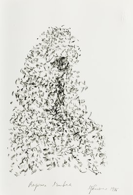 Giuseppe Penone, Respirare l’ombra (To Breath the Shadow), 1996