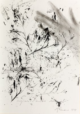 Giuseppe Penone, Respirare l’ombra delle ali (To Breath the Shadow of Wings), 1999