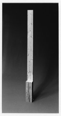 Giuseppe Penone, Senza titolo (Untitled), 1982