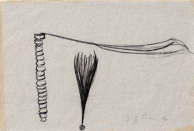 Giuseppe Penone, Senza titolo (Untitled), 1980