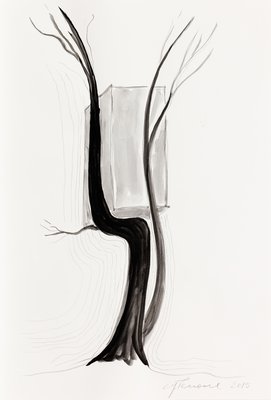 Giuseppe Penone, Senza titolo (Untitled), 2015