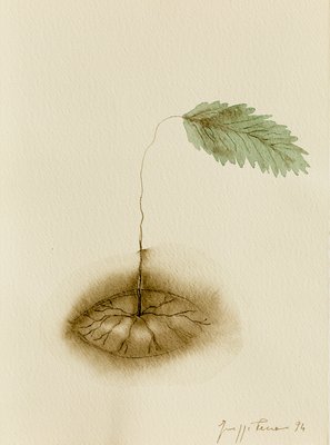 Giuseppe Penone, Sguardo vegetale (Vegetal Gaze), 1994