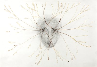 Giuseppe Penone, Sguardo vegetale (Vegetal Gaze), 1991