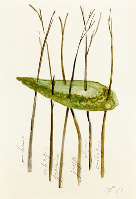 Giuseppe Penone, Progetto per Soffio di foglie (Project for Breath of Leaves), 1981