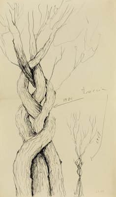 Giuseppe Penone, Treccia (Braid), 1968