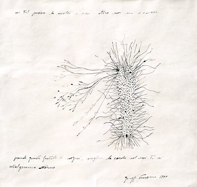 Giuseppe Penone, Un tal pensiero che avvolto in esso altro non mi occorre (Such a Thought that Wrapped in it I Do not Need else), 1999