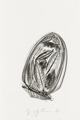 Giuseppe Penone, Unghia (Nail), 1987