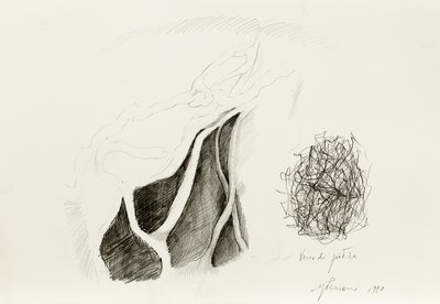 Giuseppe Penone, Vene di pietra (Stone Veins), 1990