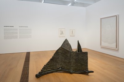Giuseppe Penone, Struttura del tempo (Structure of Time), 1993