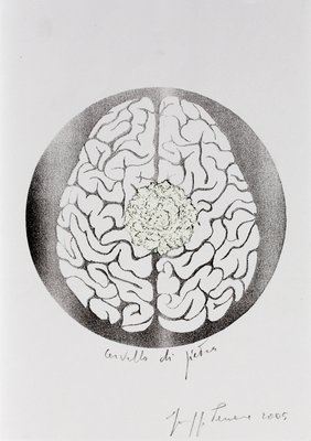 Giuseppe Penone, Cervello di pietra (Brain of Stone), 2005