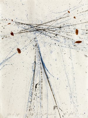 Giuseppe Penone, Pelle di foglie. Doppio sguardo all’orizzonte (Skin Of Leaves. Double Gaze at the Horizon), 2004