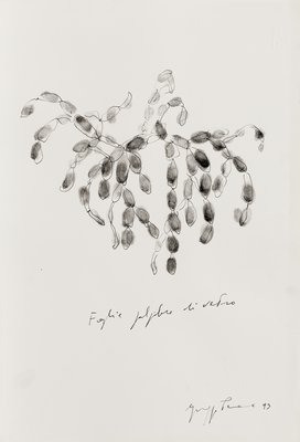 Giuseppe Penone, Foglie palpebre di vetro (Leaves Eyelids of Glass), 1993