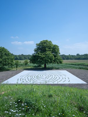 Giuseppe Penone, Identity - Wild Grass (Identity - Wild Grass), 2026